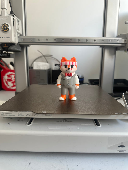 Custom 3D printed Img